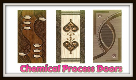 Chemical Process Doors